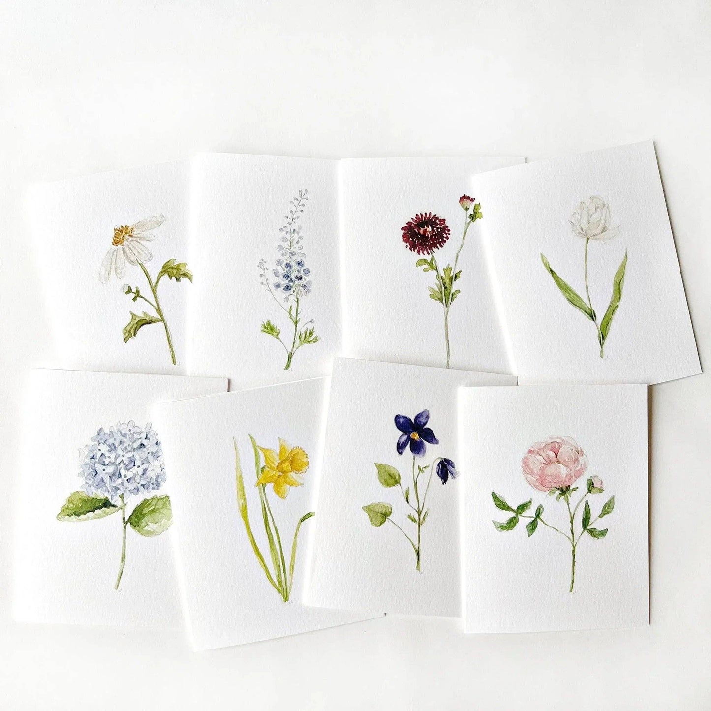 emily lex studio - Garden flowers assorted notecard set