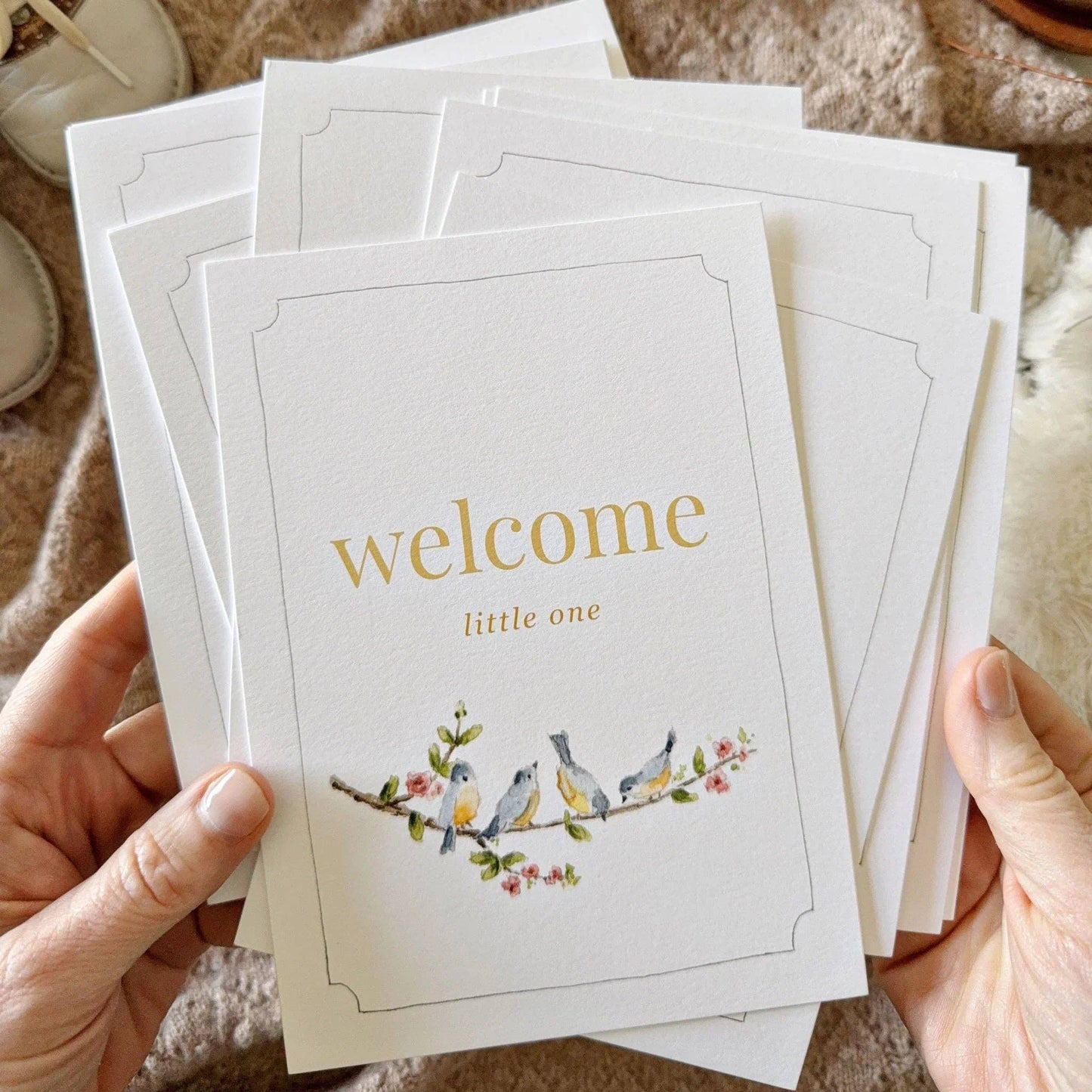 emily lex studio - Baby milestone cards