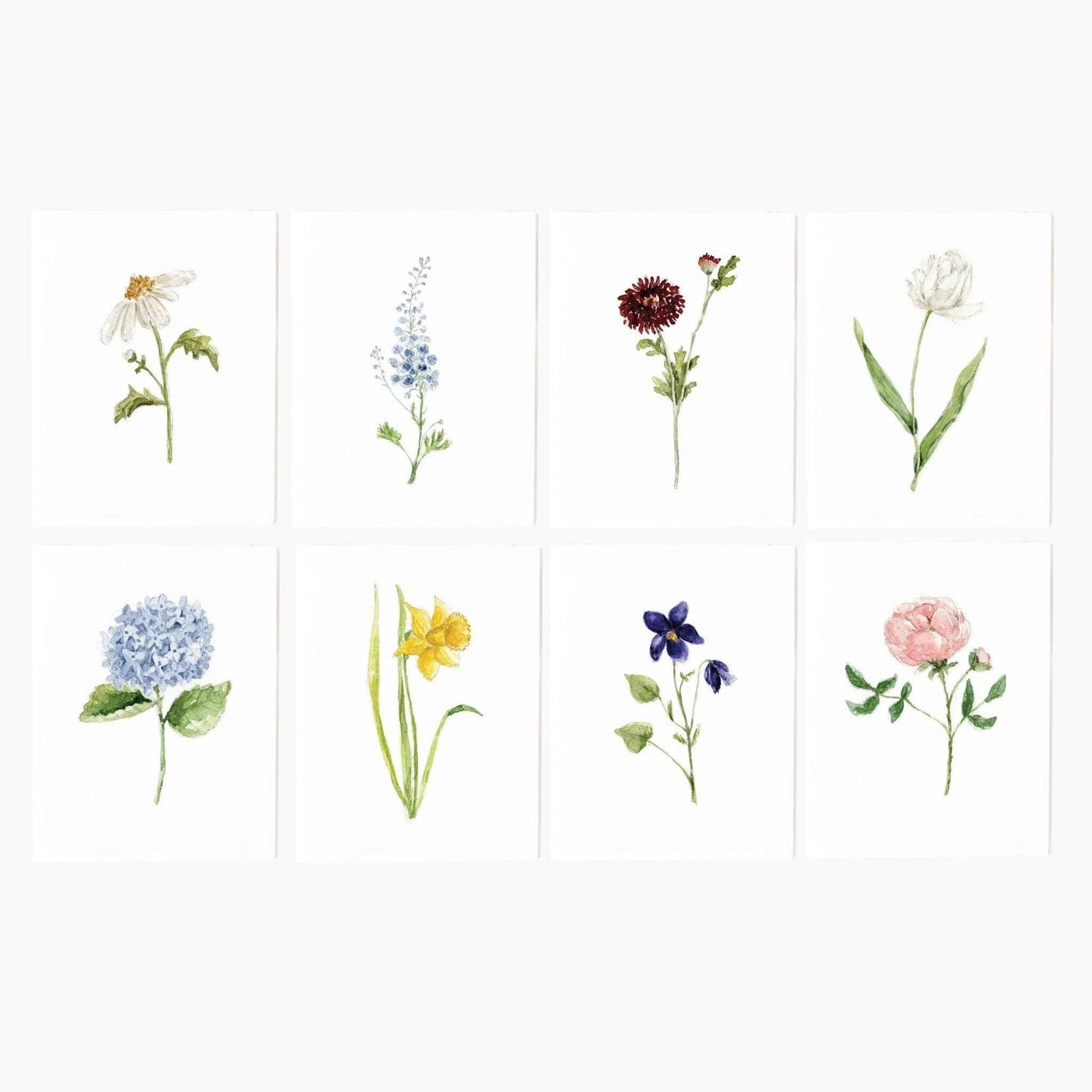 emily lex studio - Garden flowers assorted notecard set