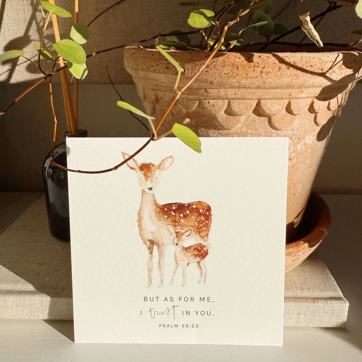 emily lex studio - Truth for today psalms cards
