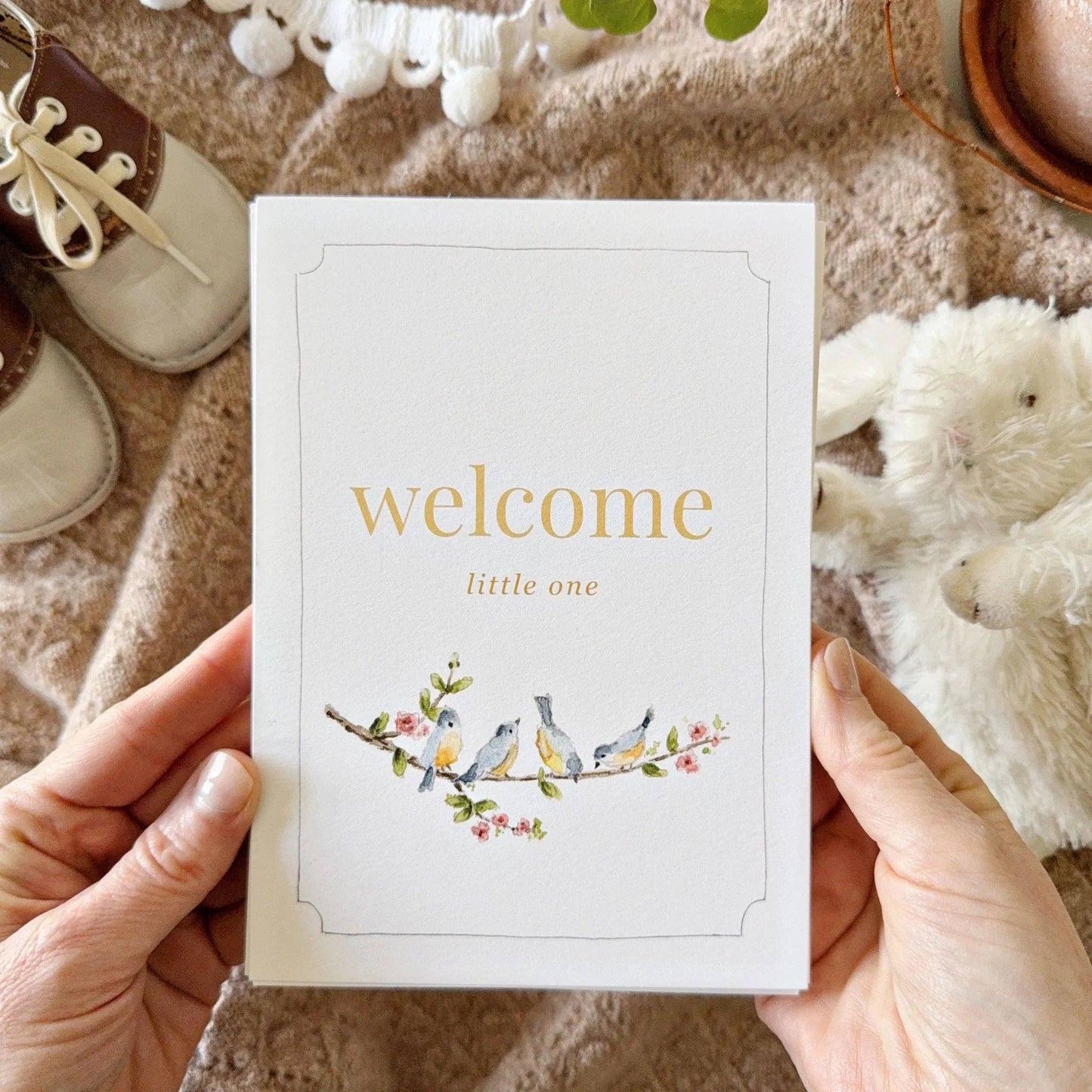 emily lex studio - Baby milestone cards