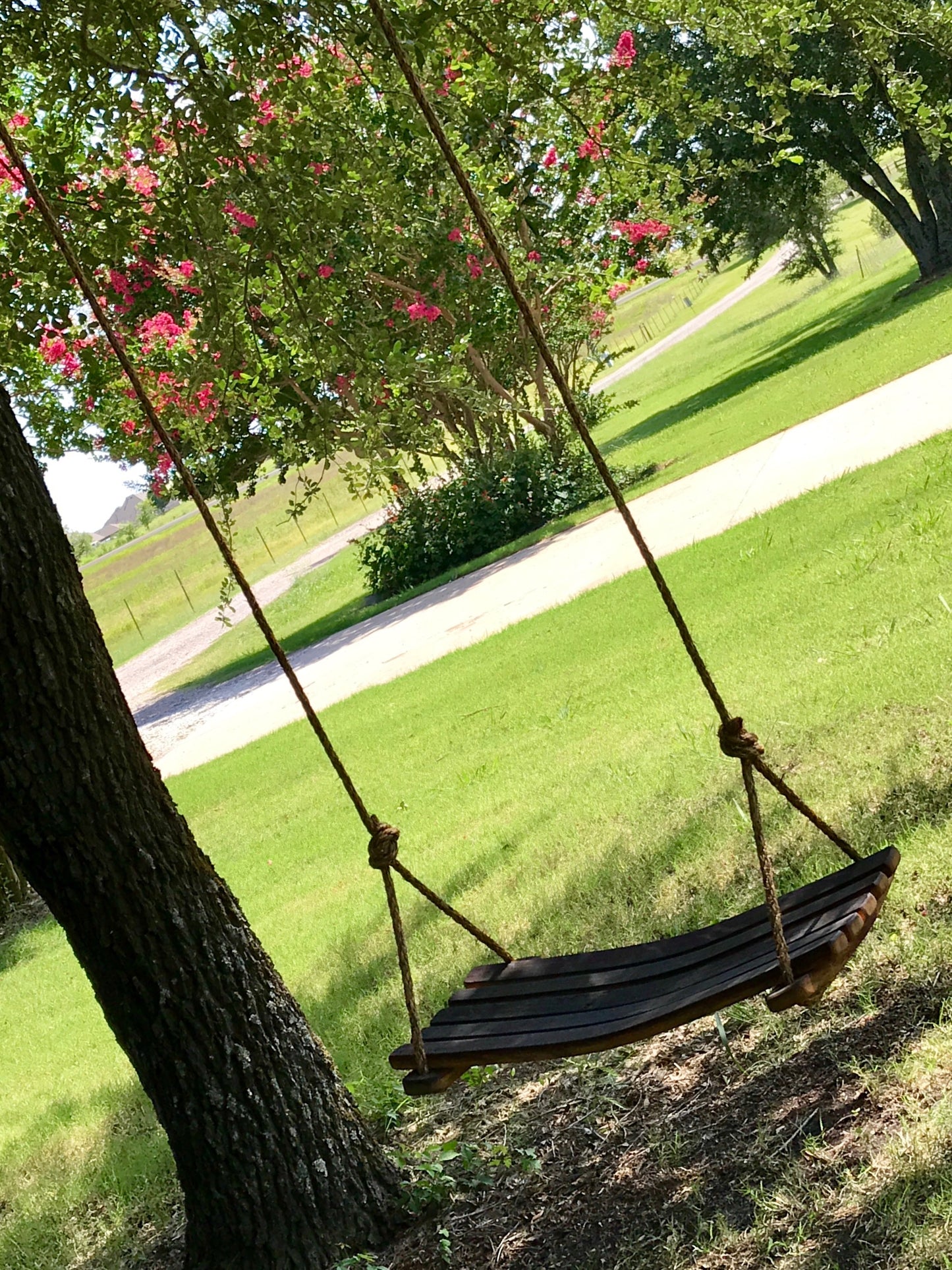 Wine Barrel Rope Swing